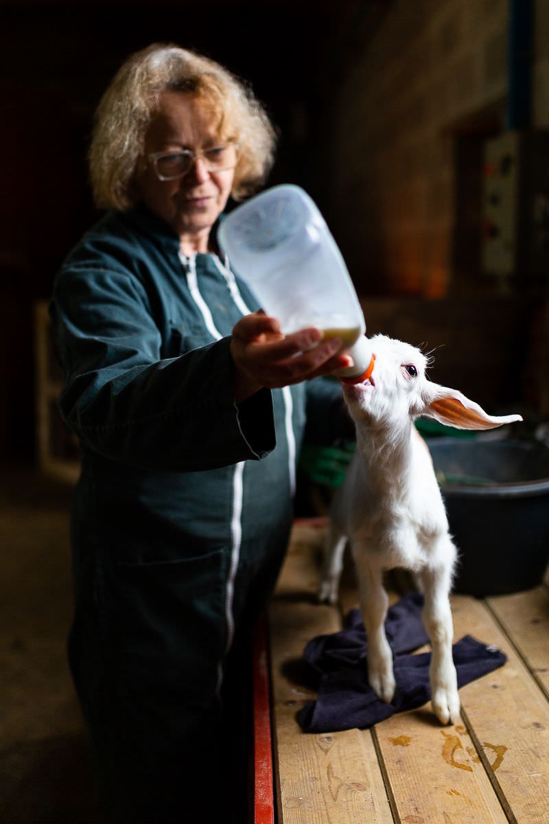 portrait d entrepreneur manche - reportage photo entreprise normandie - audrey guyon photographe